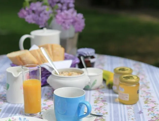 Weingewolbe Hotell Bermersheim